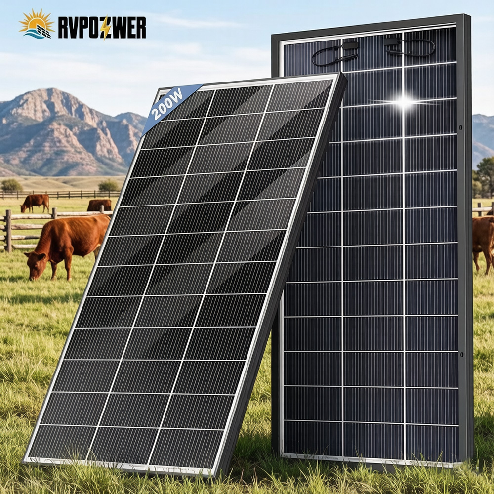 Panel Surya Bifacial RVPOZWER  - Solar Panel 200W ulasan dan harga
